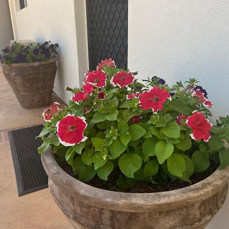 Nautilus Hamptons Style Luxury Beach Apartment Merimbula Luaran gambar