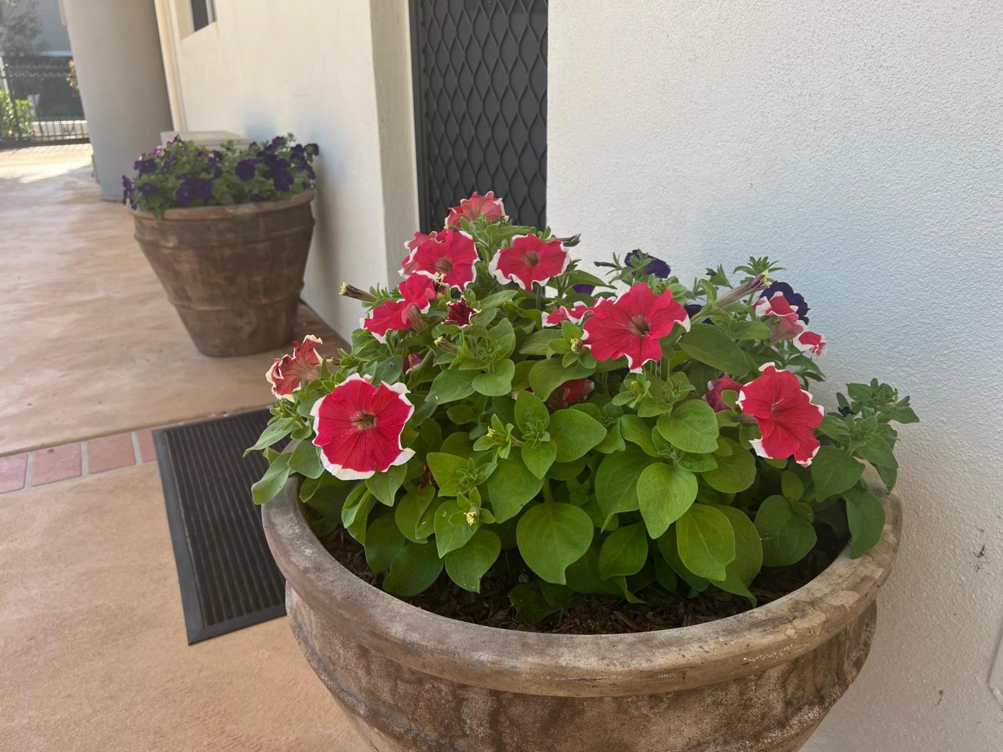 Nautilus Hamptons Style Luxury Beach Apartment Merimbula Luaran gambar